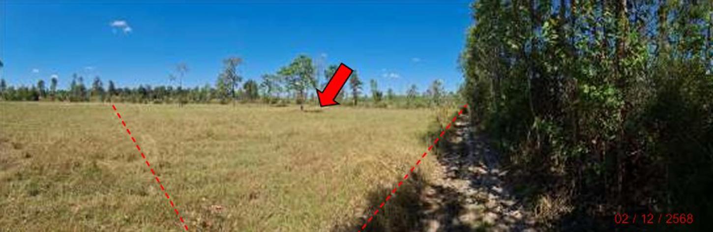 picture LAND 1165 Sq.w. Khong Chiam Ubon Ratchathani for 292,000 - 7/12