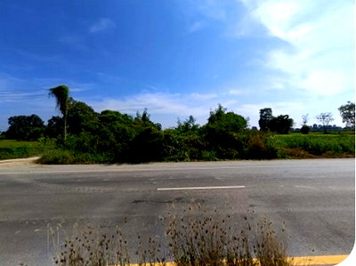 Land for sale Bung Samakkhi Kamphaeng Phet : FOR SALE  LAND PROPERTY  1213000 BAHT.