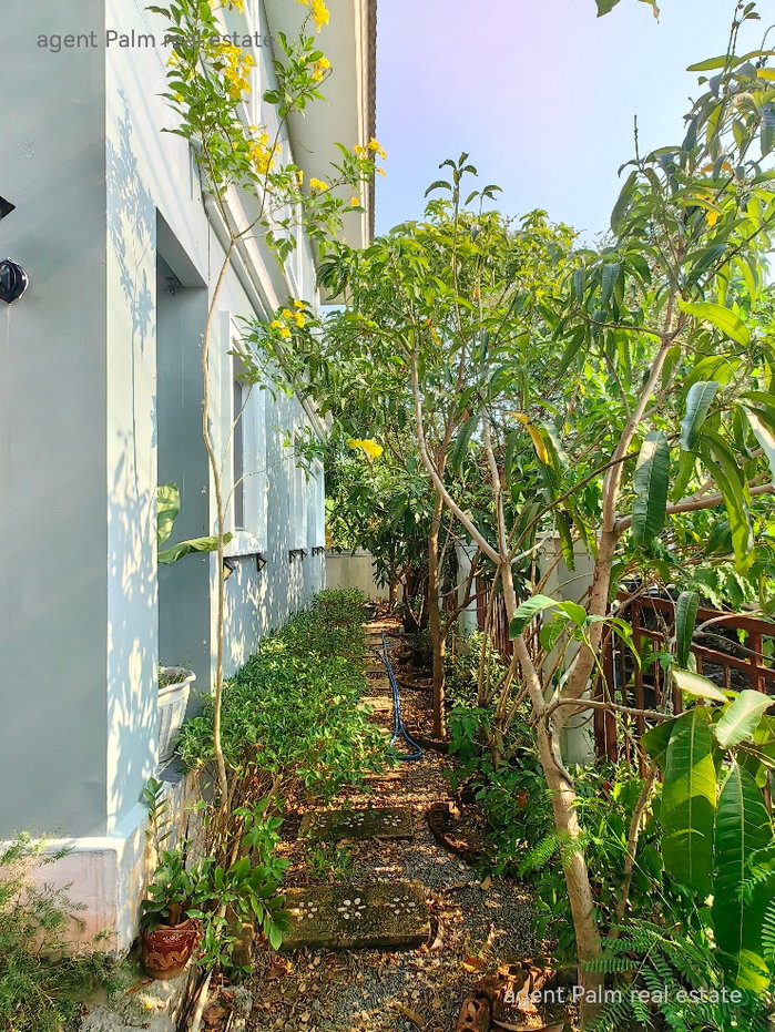 รูป 🏡✨ขายด่วน‼️ บ้านเดี่ยวหลังมุม ทำเลดี บรรยากาศเป็นส่วนตัว ม.พฤกษาวิลเลจ 7 (ประชาอุทิศ-พระสมุทรเจดีย์) - รูปที่ 16/20