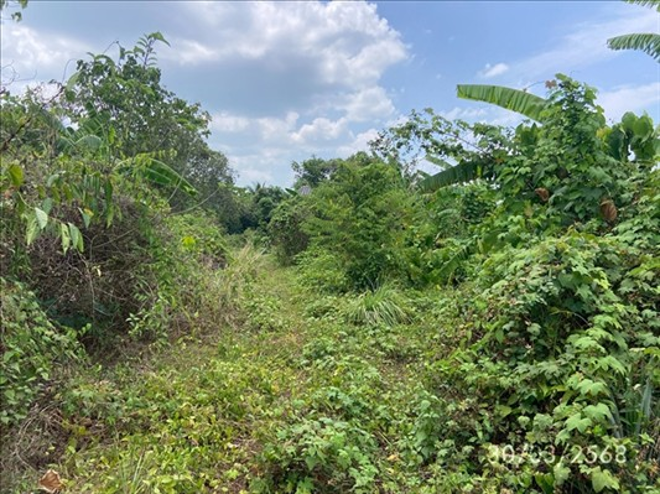 picture HOME 1374.9 Sq.w. Muang Satun Satun for 6.3M - 5/14