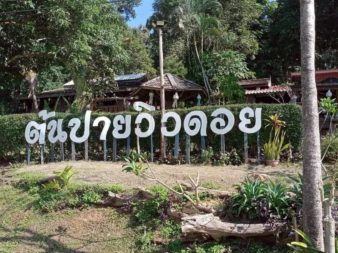 รูป ที่ดินพร้อมรีสอร์ท จำนวน7 ไร่ ตำบลแม่แตง จังหวัดเชียงใหม่ - รูปที่ 19/26