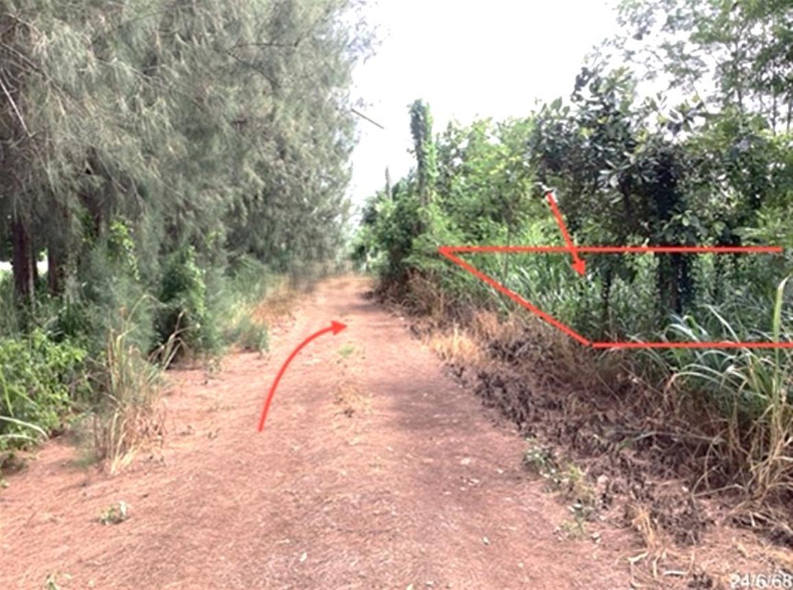 รูป ที่ดินว่างเปล่า 60 ตร.วา วรารมย์ หัวหิน หัวหิน ประจวบคีรีขันธ์ 360,000 - รูปที่ 10/14