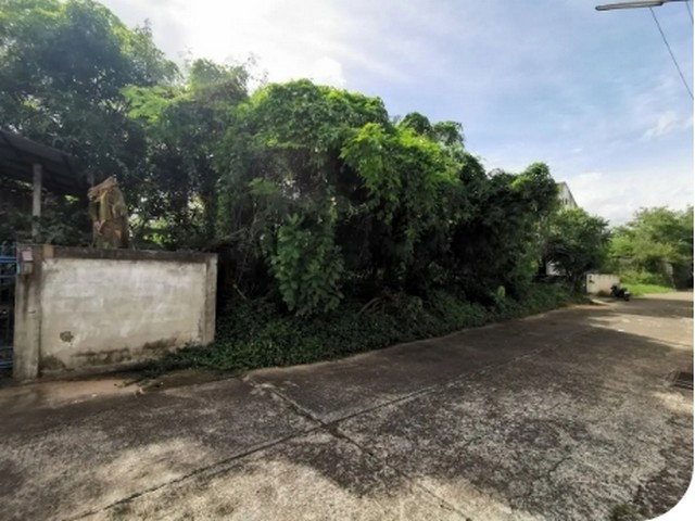 รูป BP00868 ขายที่ดินเปล่า ตำบล ในเมือง อำเภอ เมืองอุบลราชธานี จังหวัด อุบลราชธานี - รูปที่ 6/8