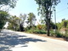 listing thumbnail image 17