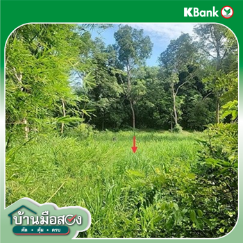 รูป ที่ดินว่างเปล่า 277.4 ตร.วา เมืองสรวง ร้อยเอ็ด 555,000 - รูปที่ 10/12