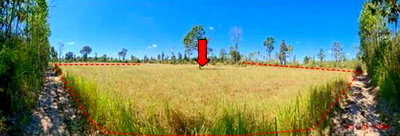 Land for sale Ubon Ratchathani : LAND 1165 Sq.w. Khong Chiam Ubon Ratchathani for 292,000