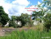 listing thumbnail image 18