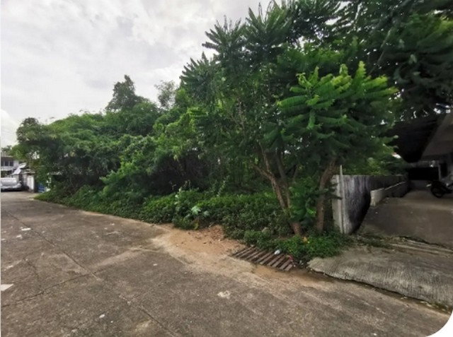 รูป BP00869 ขายที่ดินเปล่า ตำบล ในเมือง อำเภอ เมืองอุบลราชธานี จังหวัด อุบลราชธานี - รูปที่ 4/8