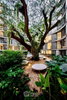listing thumbnail image 23