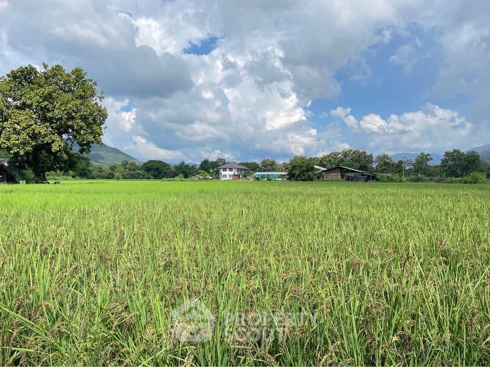 รูป ที่ดินสำหรับปล่อยขาย 5,508 ตารางเมตร แถว ใน ออนใต้ (ID 2810643) - รูปที่ 4/4