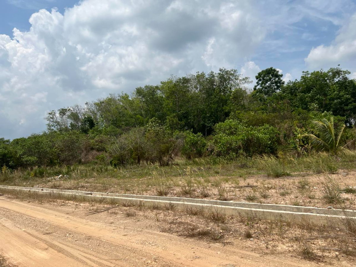 picture Land for sale  Hatyai Songkhla  - 3/7