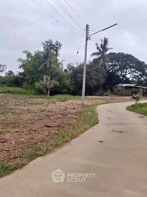 รูป ที่ดินสำหรับปล่อยขาย 3,100 ตารางเมตร แถว ใน ป่าไผ่ (ID 2813421) - รูปที่ 2/4