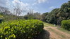 listing thumbnail image 1