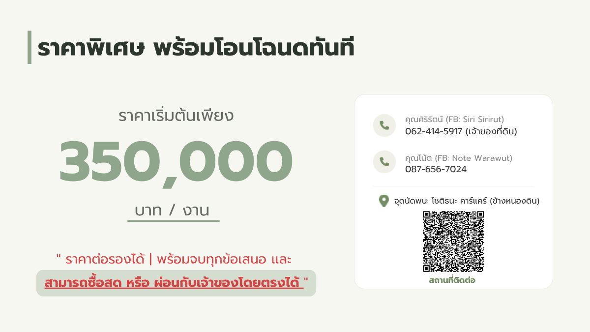 รูป ขายที่ดิน 5 แปลงสุดท้ายจากทั้งหมด 8 แปลง! วิวเขา @เมืองปาน จ.ลำปาง - ผ่อนตรงกับเจ้าของได้ 🏔️🌲 - รูปที่ 2/10