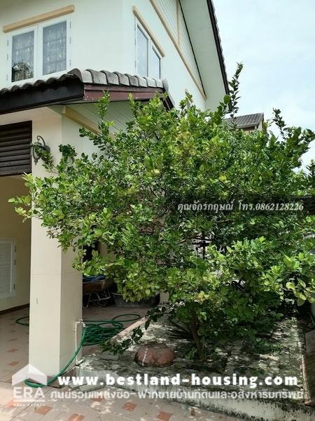 รูป ขายบ้าน 2 ชั้น 52 ตรว. หมู่บ้านฟ้าปิยรมย์ ซอย1 ถนนลำลูกกา สะดวกมีตลาดหน้าหมู่บ้าน - รูปที่ 3/14