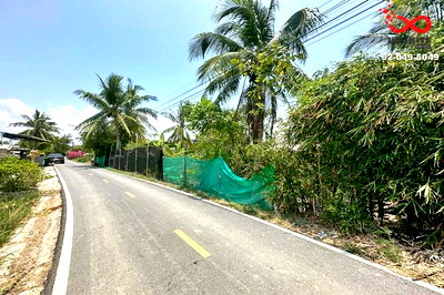 ที่ดิน นครศรีธรรมราช : ขายที่ดิน อำเภอหัวไทร นครศรีธรรมราช 268 ตร.ว.ถมแล้ว ซอยบางแค 1 ใกล้ตลาดเทศบาล