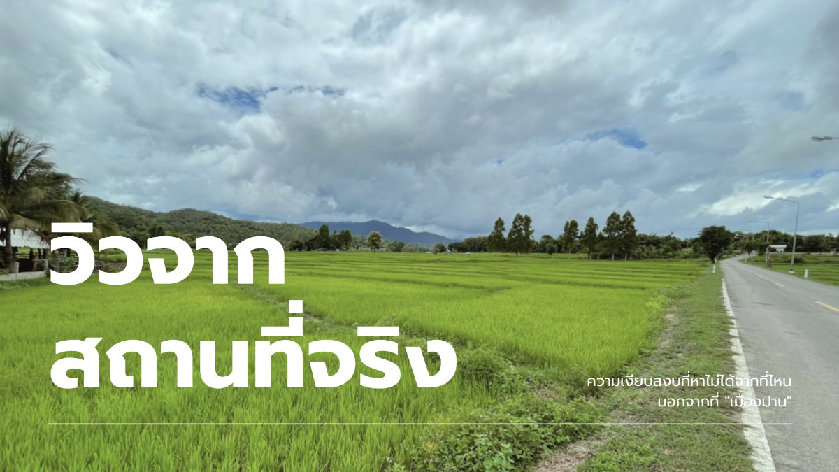 รูป ขายที่ดิน 5 แปลงสุดท้ายจากทั้งหมด 8 แปลง! วิวเขา @เมืองปาน จ.ลำปาง - ผ่อนตรงกับเจ้าของได้ 🏔️🌲 - รูปที่ 5/10