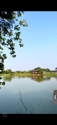 ที่ดิน กำแพงแสน นครปฐม : ขายที่ดินสวยติดริมน้ำ กำแพงแสน  ปังปัง อากาศดี บรรยากาศดีสุดๆ (เจ้าของขายเอง)