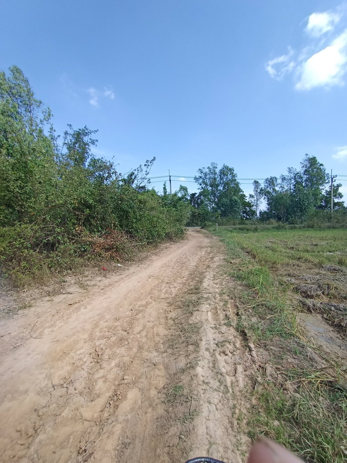 รูป ขายที่นา 12 ไร่ เจ้าของขายเอง 064-247-0712 - รูปที่ 3/13