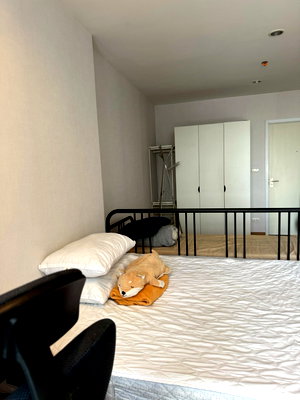 Condos for rent MRT Tao Poon : For rent The Tree Interchange, Building A studio room 30sqm 11 Floor (washing machine)🆔 line: eyannie
