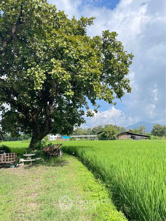 รูป ที่ดินสำหรับปล่อยขาย 5,508 ตารางเมตร แถว ใน ออนใต้ (ID 2810643) - รูปที่ 3/4