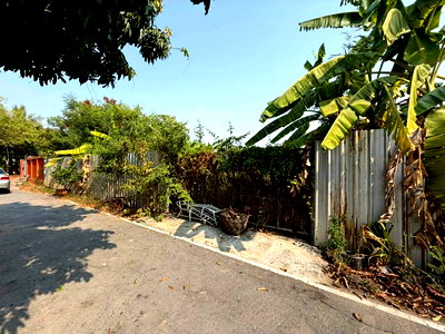 ที่ดิน บางบัวทอง นนทบุรี : ขาย ที่ดินเปล่า กั้นรั้วและถมแล้ว ในซอยวัดลาดปลาดุก นนทบุรี