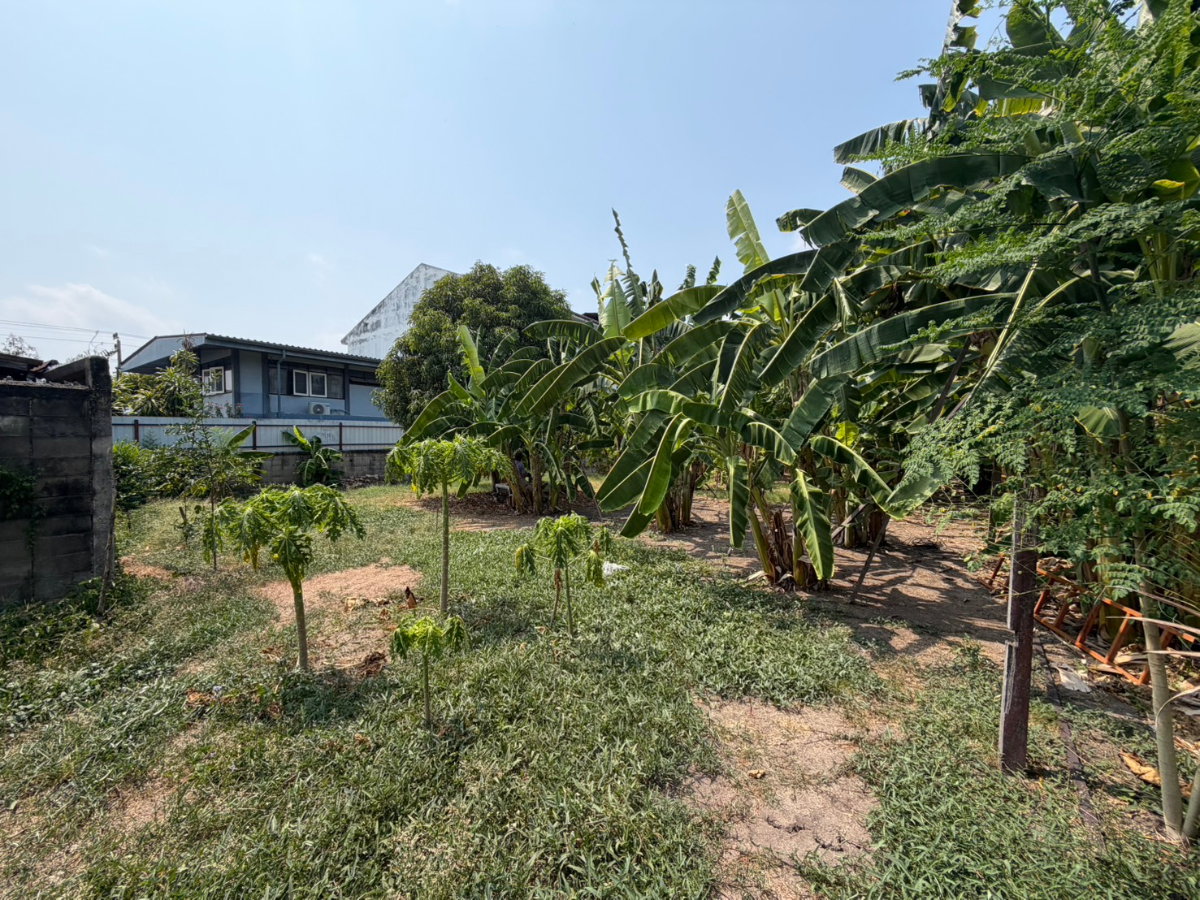 รูป ขายที่ดินเปล่า เนื้อ 309ตรว. ทำเลดี !! - รูปที่ 9/14