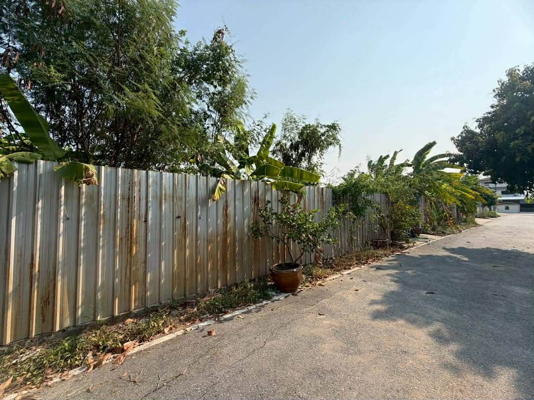 รูป ขาย ที่ดินเปล่า กั้นรั้วและถมแล้ว ในซอยวัดลาดปลาดุก นนทบุรี - รูปที่ 5/5