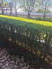 listing thumbnail image 10