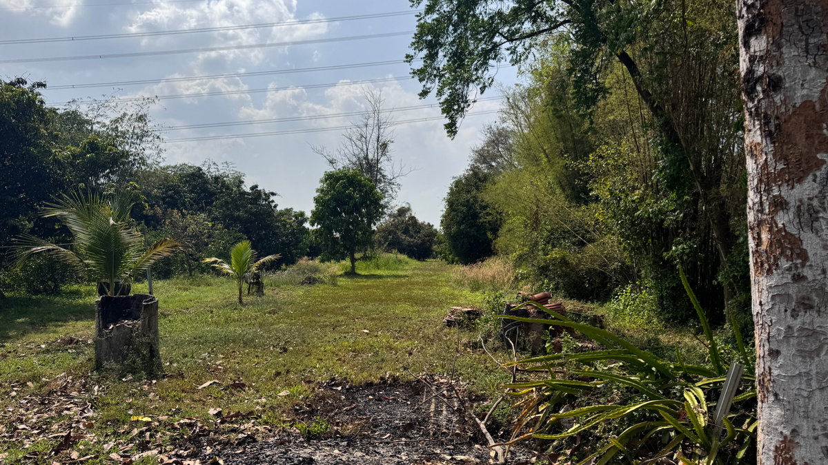 รูป ขายที่ดิน 11 ไร่ ต.ดอนทอง  จ.พิษณุโลก + บ้าน2หลัง ประตูรั้วเป็นรีโมท รั้วล้อมรอบครบ4ด้านหมดแล้ว พร้อมต้นมะม่วง กระท้อน กล้สย มะนาว   - รูปที่ 7/21