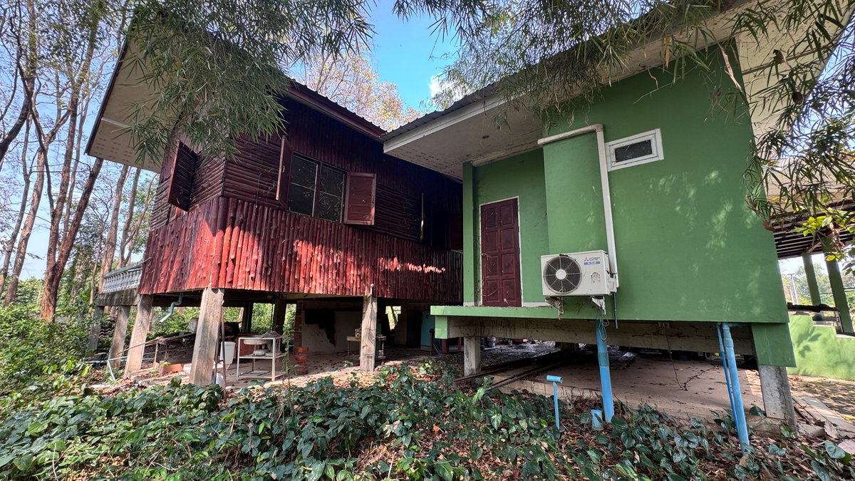 รูป ขายที่ดิน 11 ไร่ ต.ดอนทอง  จ.พิษณุโลก + บ้าน2หลัง ประตูรั้วเป็นรีโมท รั้วล้อมรอบครบ4ด้านหมดแล้ว พร้อมต้นมะม่วง กระท้อน กล้สย มะนาว   - รูปที่ 4/21