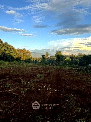 ที่ดิน ม.เชียงใหม่ : ที่ดินสำหรับปล่อยขาย 4,215.6 ตารางเมตร แถว ใน ช้างเผือก (ID 2817432)