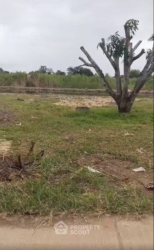 รูป ที่ดินสำหรับปล่อยขาย 3,100 ตารางเมตร แถว ใน ป่าไผ่ (ID 2813421) - รูปที่ 3/4