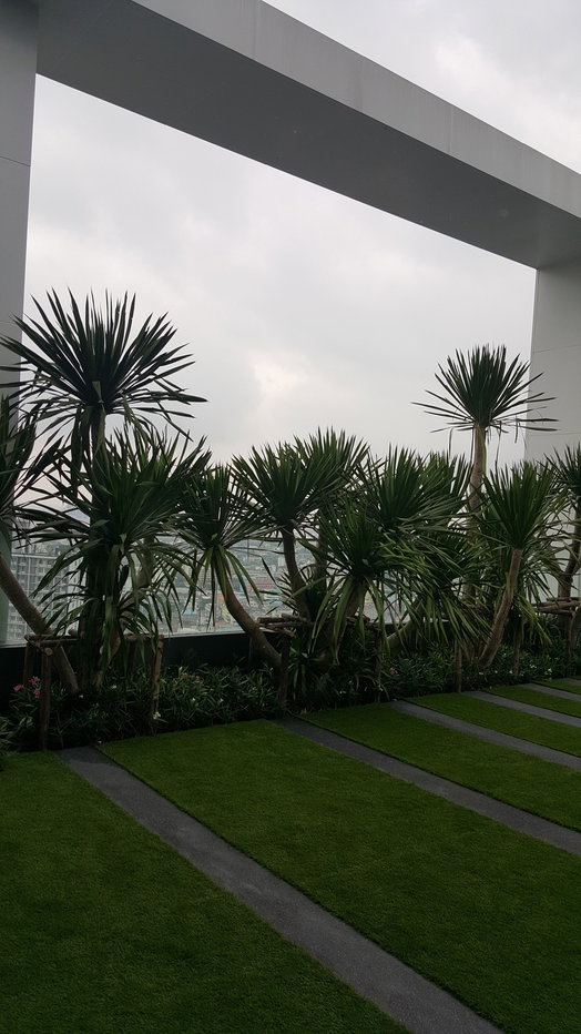 รูป 💥CP-10645💥ว่าง ให้ เช่า ไลฟ์ สุขุมวิท 48👉แอดไลน์ @seecondo  - รูปที่ 10/11