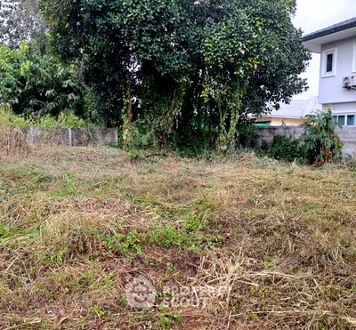 ที่ดิน หางดง เชียงใหม่ : ที่ดินสำหรับปล่อยขาย 992 ตารางเมตร แถว ใน น้ำแพร่ (ID 2812372)