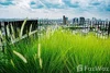 listing thumbnail image 18