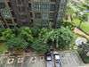 listing thumbnail image 29