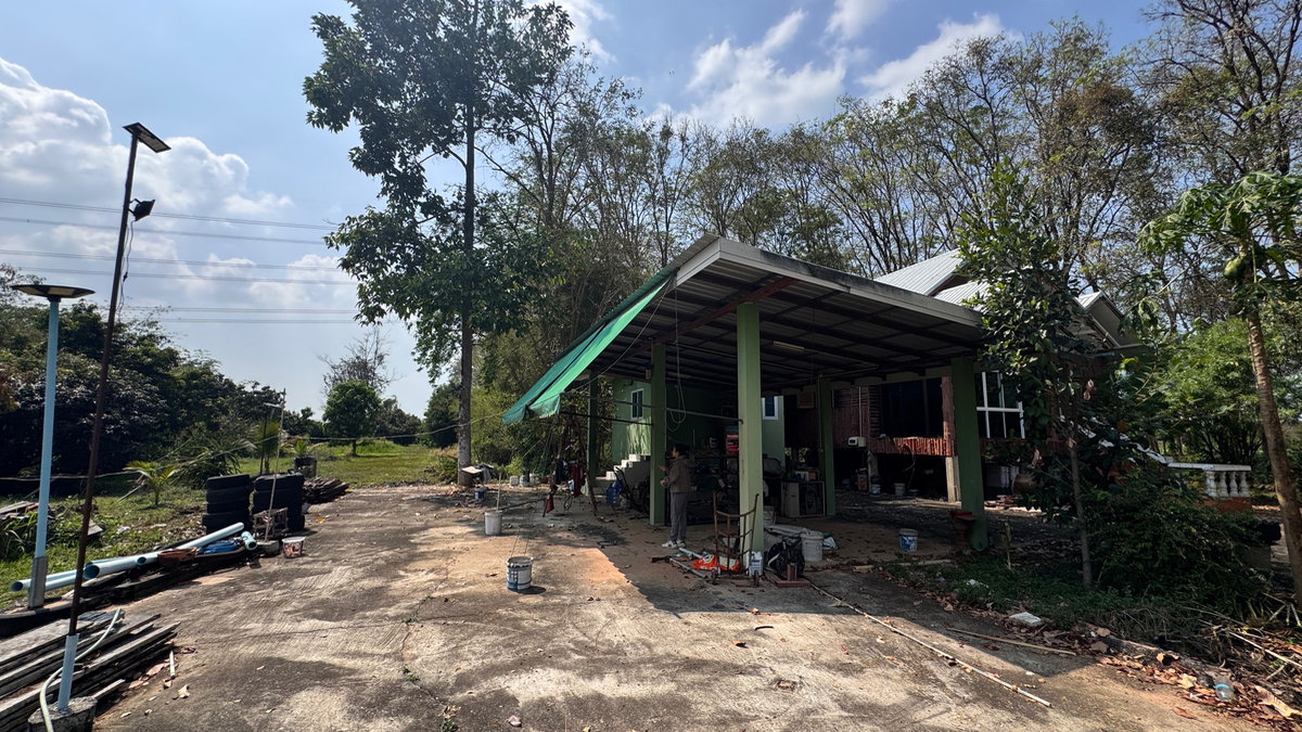 รูป ขายที่ดิน 11 ไร่ ต.ดอนทอง  จ.พิษณุโลก + บ้าน2หลัง ประตูรั้วเป็นรีโมท รั้วล้อมรอบครบ4ด้านหมดแล้ว พร้อมต้นมะม่วง กระท้อน กล้สย มะนาว   - รูปที่ 9/21