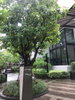 listing thumbnail image 7