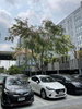 listing thumbnail image 18