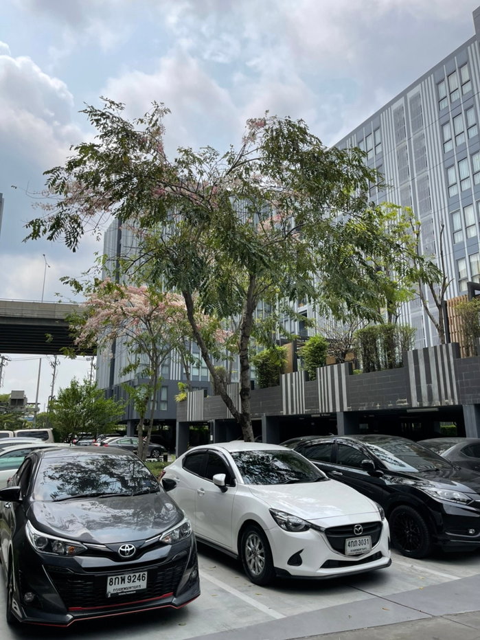 รูป ให้เช่าคอนโด 2 ห้องนอน เงียบสงบ Moniiq Sukhumvit 64 - รูปที่ 19/21