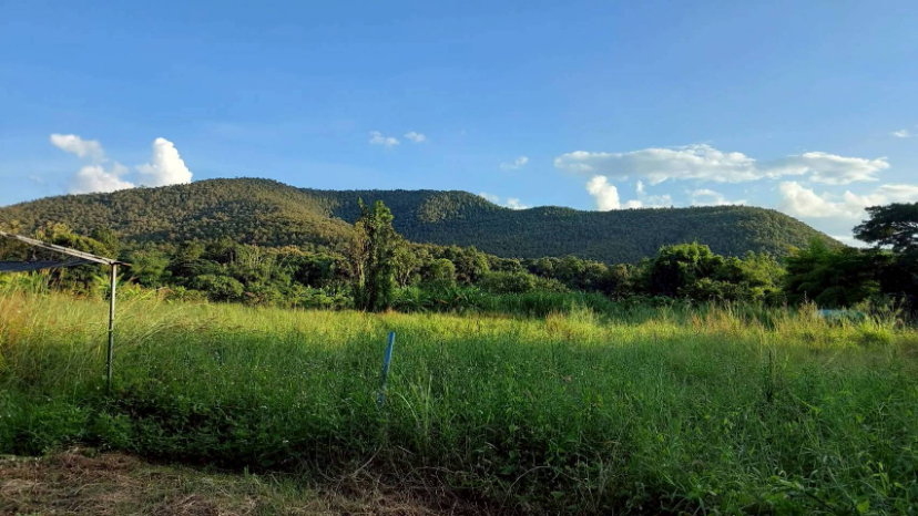 picture Farm Land for Sale in Doi Saket, Chiang Mai – Subdivision Available (Rai as shown in image) - 7/8