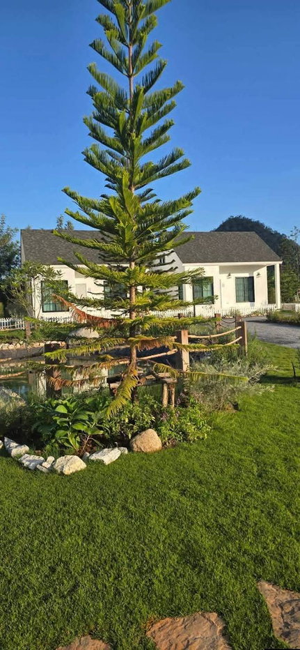 รูป ส่งต่อกิจการรีสอร์ต สไตล์อังกฤษสุดสวยโลเคชั่นที่เพียบพร้อม รีสอร์ต, Boutique Hotel, Wellness Retreat หรือ Private Residence ระดับพรีเมียม - รูปที่ 14/30