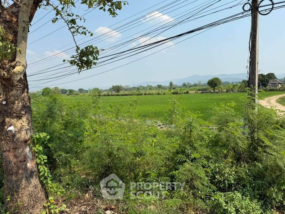 รูป ที่ดินสำหรับปล่อยขาย 5,176 ตารางเมตร แถว ใน อินทขิล (ID 2812063) - รูปที่ 3/8