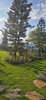 listing thumbnail image 16