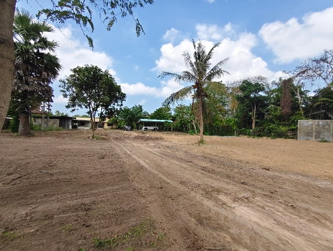 ขายที่ดินหนองเกตุใหญ่ เกือบ 2ไร่ เหมาะสร้างบ้าน ✨ระวางสวย✨ ใกล้7-11 ใกล้ตลาด