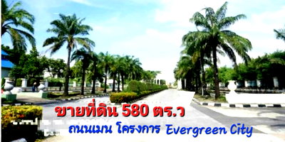 ขายที่ดิน : ขายที่ดิน ในโครงการ เอเวอร์กรีน ซิตี้ บางแค(ติดถนนกาญจนาฯ) ใกล้รถไฟฟ้าMRT หลักสอง-เดอะมอลล์บางแค