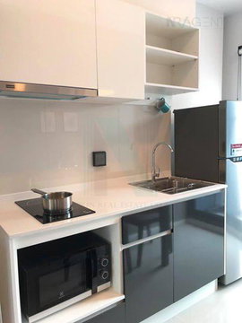 🔺 For rent condo THE TREE SUKHUMVIT 71-EKAMAI Building 1, Floor 12,1 bed room, Room size 31.00 sqm