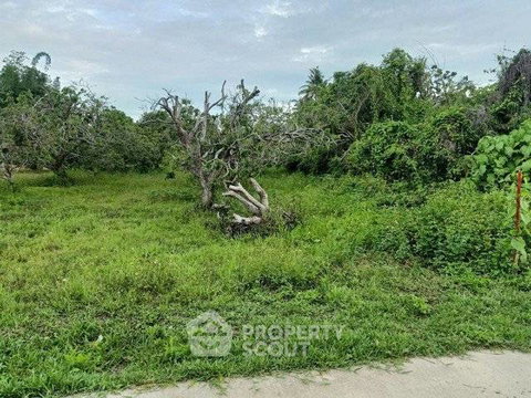 ที่ดินขาย 429 ตร.ม. ใกล้สารภี เชียงใหม่ (ยางเนิ้ง) (ID 2820371)