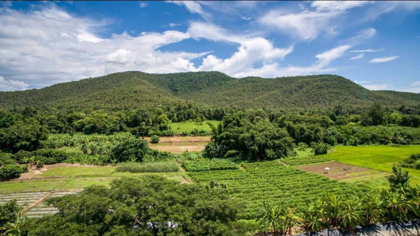 picture Farm Land for Sale in Doi Saket, Chiang Mai – Subdivision Available (Rai as shown in image) - 5/8